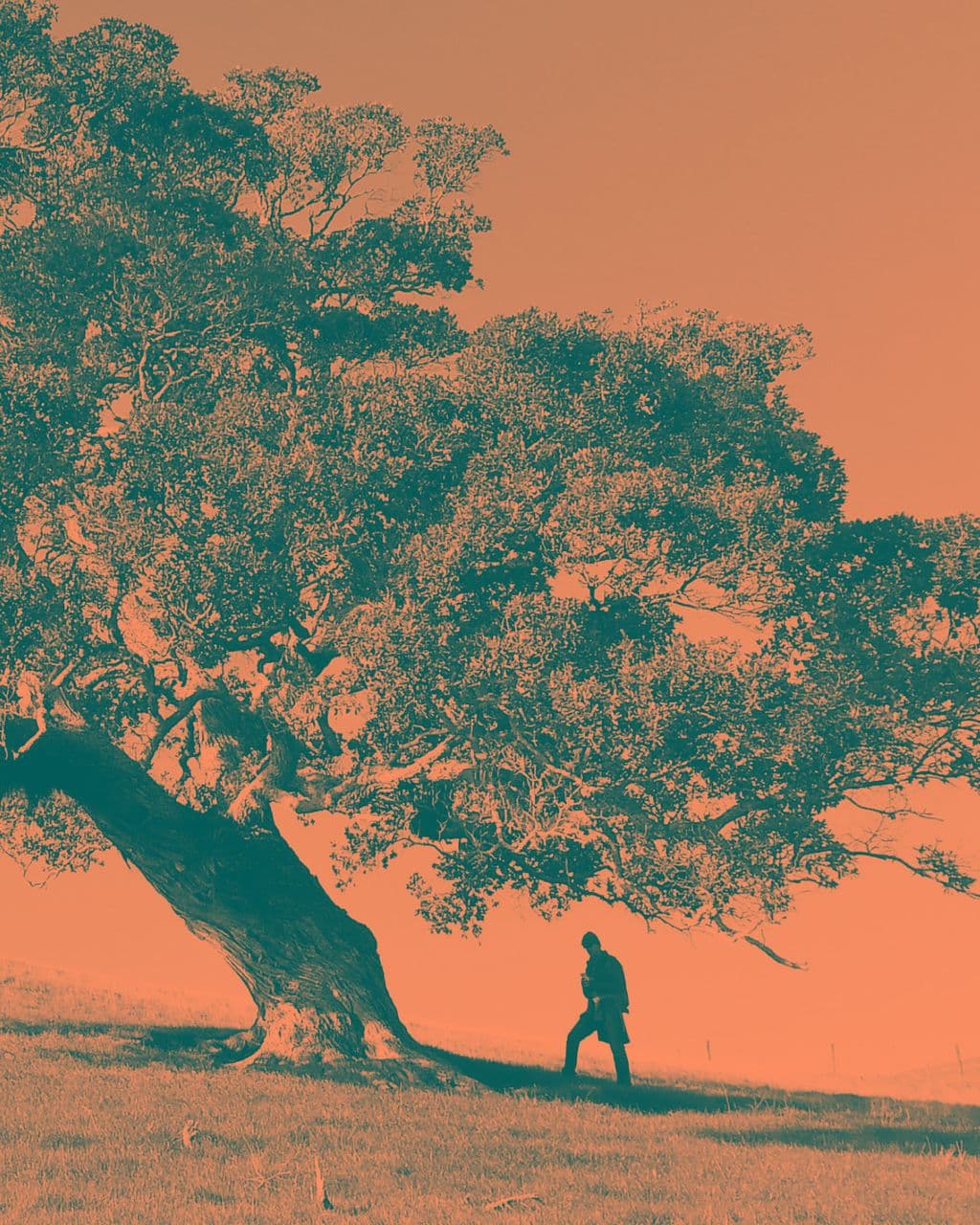 A lone person walking under a wide tree, the photograph mapped to teal and orange.